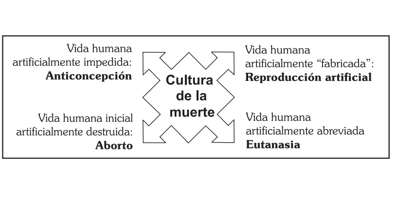 Barbeito: "En la salud pública dictan cursos contra el derecho al aborto e incluso contra los anticonceptivos"