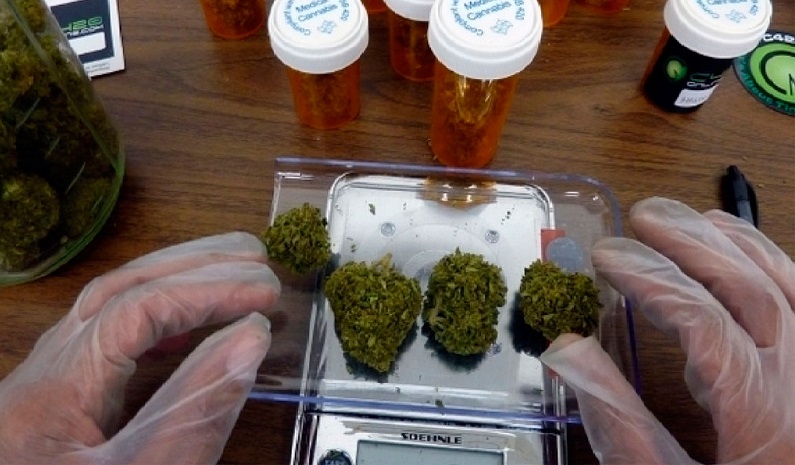 Cannabis medicinal: comienza el primer estudio clínico en la Argentina