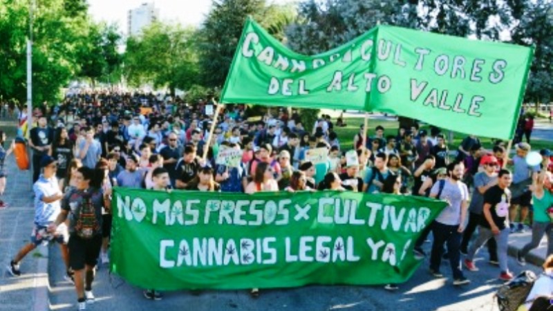 Neuquén: quieren que se legalice el uso del cannabis y llaman a marchar