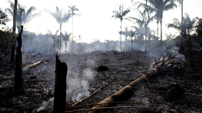 Amazonia: hay que parar la saña predatoria de Bolsonaro y los capitalistas