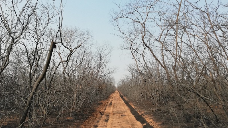 Evo Morales y el agronegocio están detrás de los incendios en la Amazonia boliviana