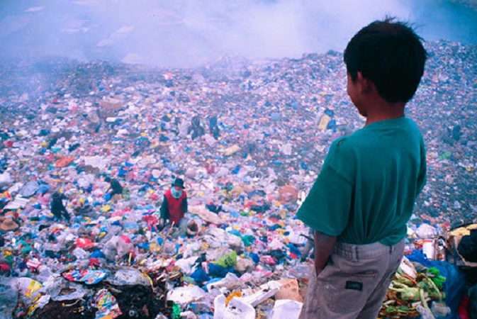 ¿Sólo en el socialismo es posible salvar a la naturaleza?