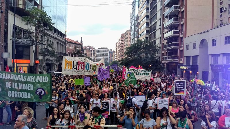 25N en Córdoba: marcha contra la violencia patriarcal y en solidaridad con los pueblos latinoamericanos