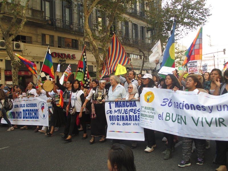 Se realizó la primera Marcha de Mujeres Originarias