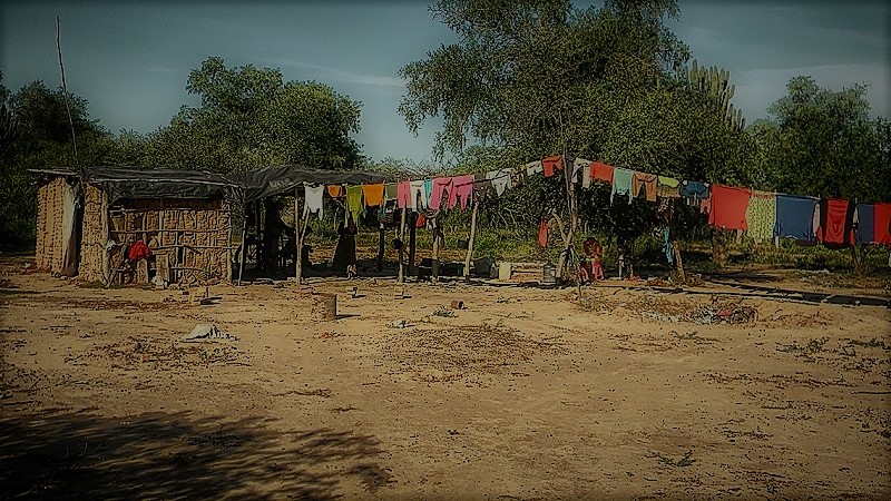 La Organización Mundial de la Salud y la ONU se manifiestan ante la muerte de niños en Salta