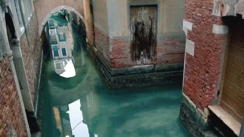 Los canales de Venecia se volvieron cristalinos por la paralización del turismo