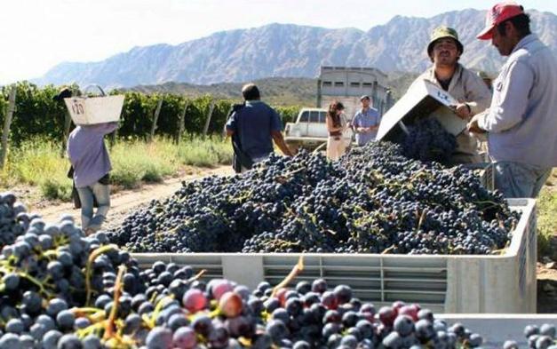 Mendoza: "Los obreros de viña y bodegas no somos inmunes al coronavirus"