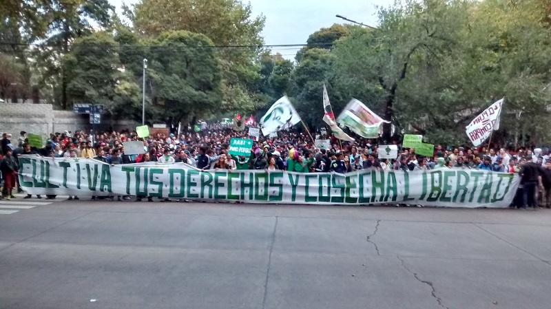 Miles en la marcha mundial por la Marihuana