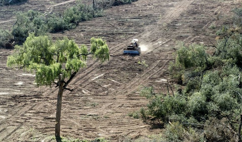 Extractivismo en el norte: la sed de ganancia no entró en cuarentena