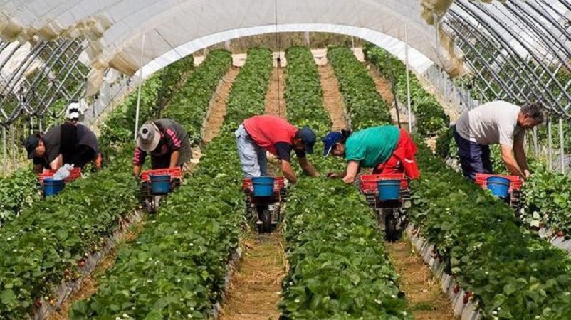 Migrantes sin derechos y en condiciones de semiesclavitud en el Estado español