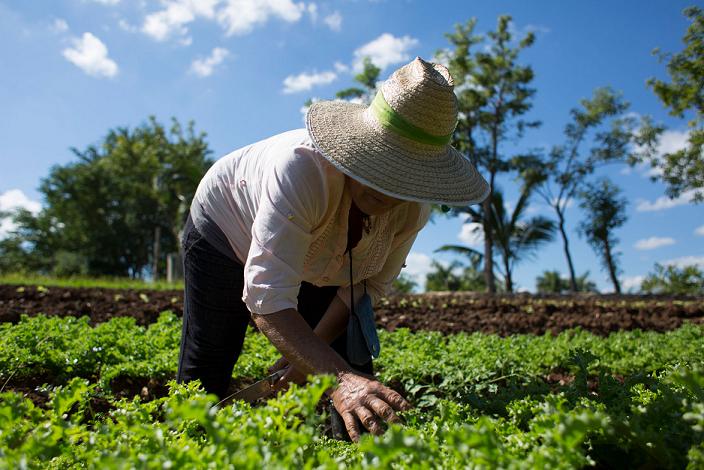 La agroecología solo podrá expandirse superando el capitalismo