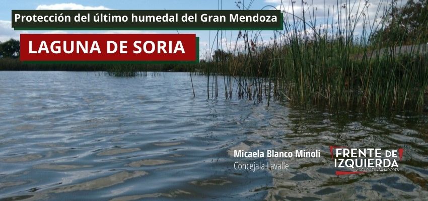 Laguna de Soria: defendamos el último humedal del Gran Mendoza