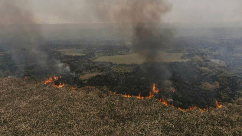 ¿Qué intereses hay detrás de los incendios intencionales que se expanden por la costa de Hudson? 