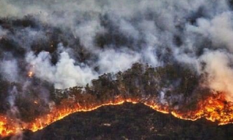 La Amazonia arde y Áñez sigue en campaña