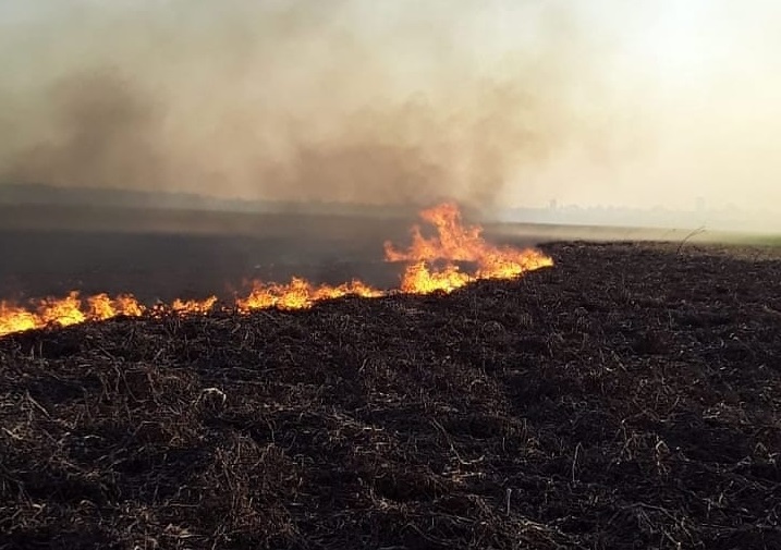 Fuego en las islas del Paraná: el relato de los voluntarios que ponen el cuerpo para combatirlo