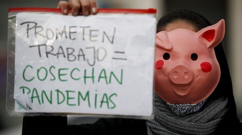 Marchemos contra el acuerdo porcino para que Argentina no sea cuna de nuevas pandemias