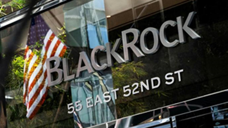 Saqueo y superexplotación, el interés de BlackRock en México