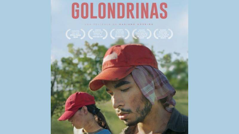 “Golondrinas”: La precarización de los que viven migrando