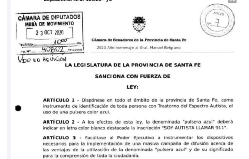 Santa Fe: denuncian que ley con media sanción estigmatiza a niñes con autismo