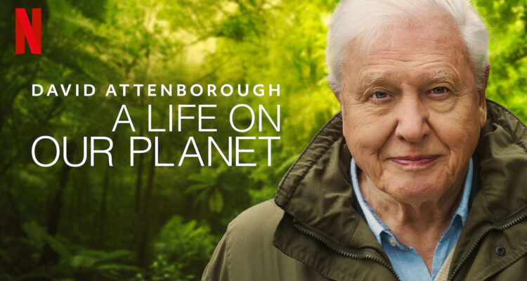 D. Attenborough: “En 2100 una sexta extinción masiva estará en marcha”