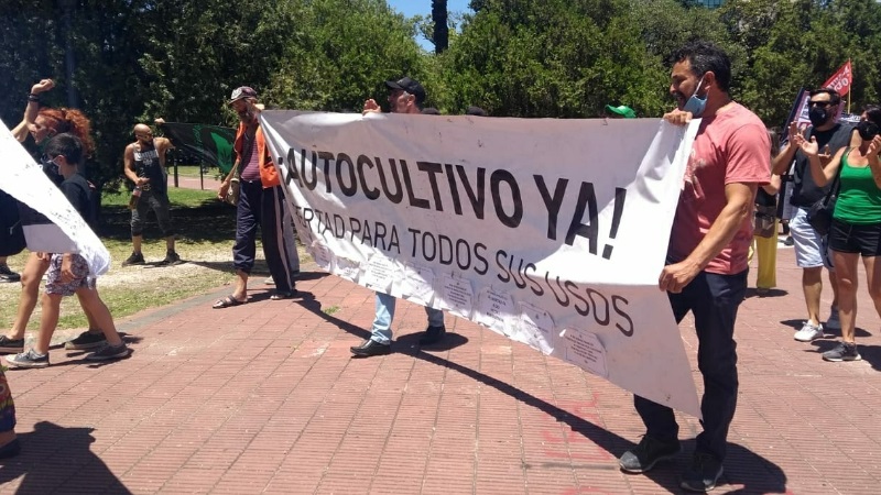 La Plata: organizaciones cannábicas exigen al Gobierno el cese de la persecución a cultivadores