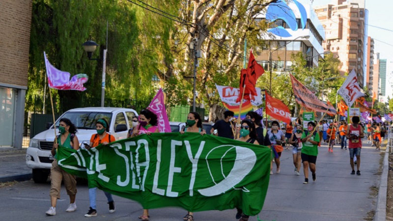 Neuquén: imágenes en una jornada histórica por el aborto legal