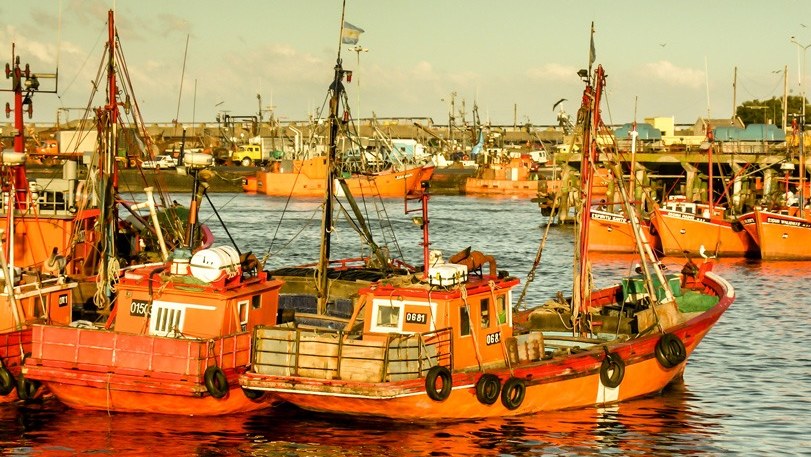 Trabajadores pesqueros tienen que pagar sus propios test de covid-19 en Mar del Plata