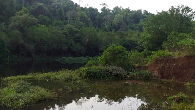 Cuenca del arroyo Garuhapé: empresas ceramistas tumban el monte ilegalmente