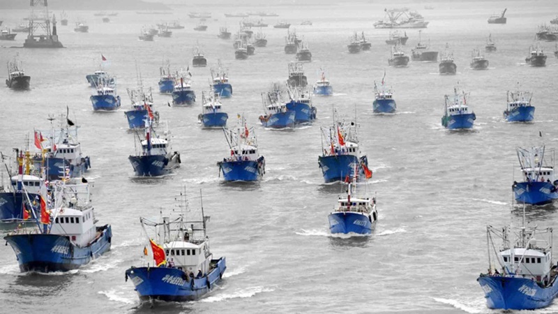 “Descontrol pesquero” en mar argentino: 470 barcos extranjeros en una zona ecológica clave