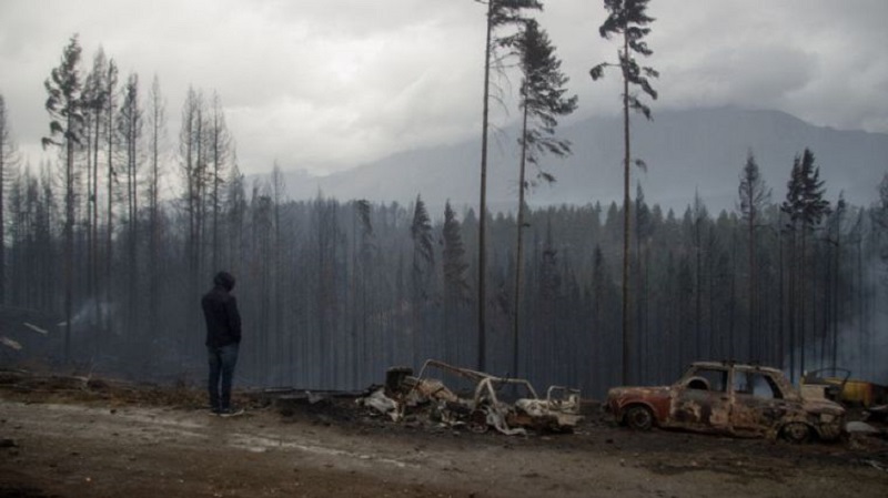 Incendios en la Comarca Andina: estudiantes de la UBA impulsan colectas solidarias 