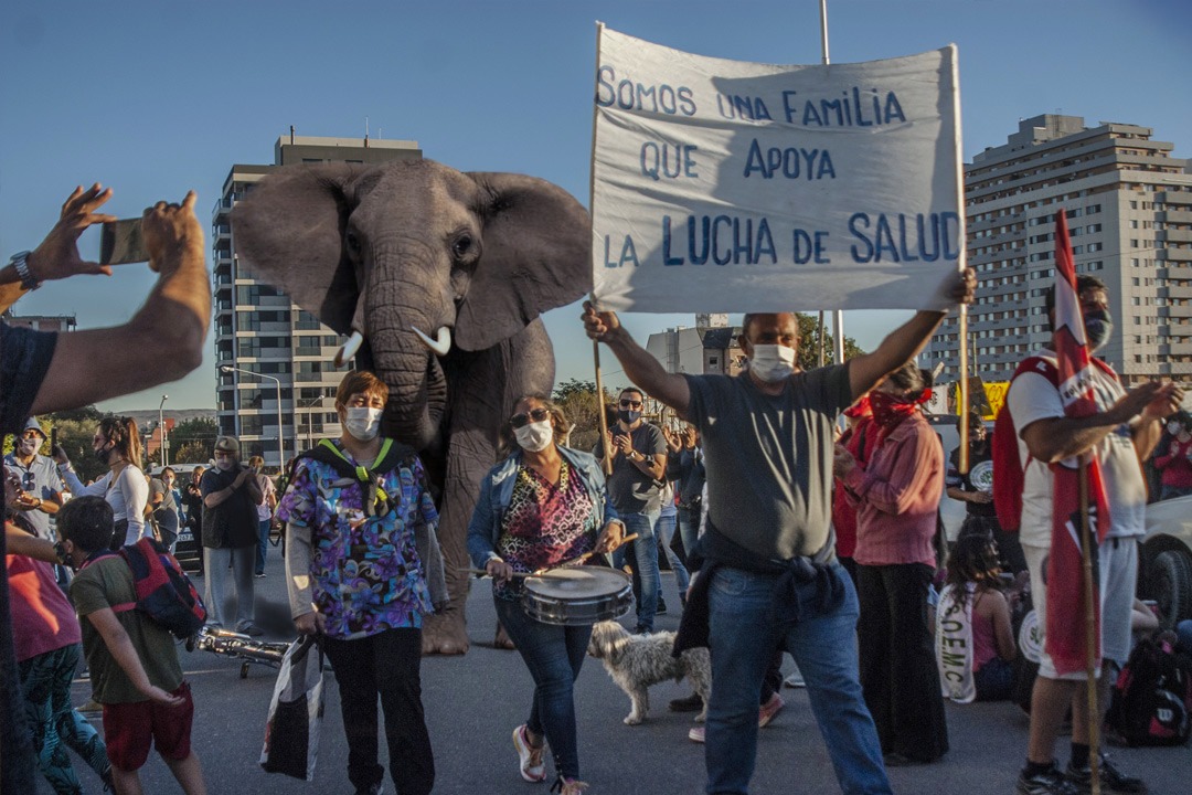 Pisan fuerte, están en manada y tienen memoria; son las y los trabajadores de la salud