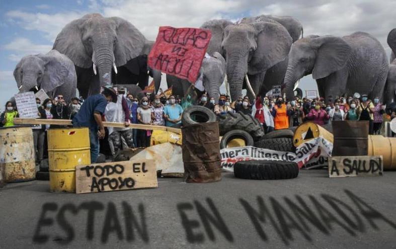 Fuertes como un elefante: los autoconvocados le bajaron el sueldo a diputados e impusieron un paro a ATE