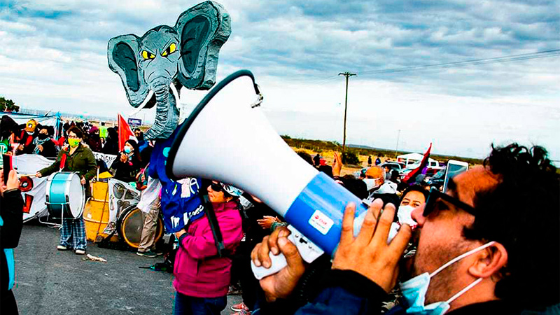 Que la lucha de los Elefantes de Neuquén se multiplique