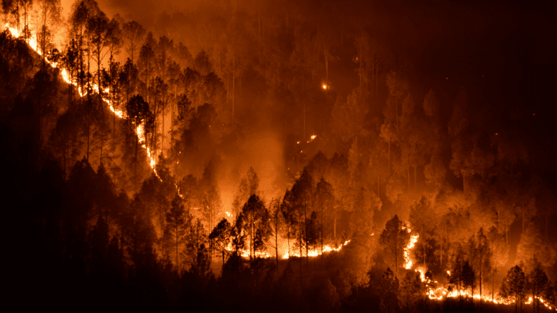 Continúan avanzando incendios en el oeste de Estados Unidos 