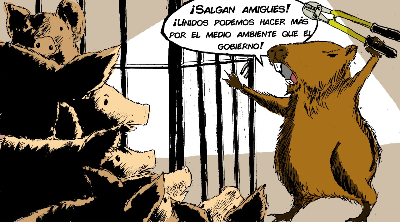 Rebelión en la mega granja: ¡No al acuerdo porcino!