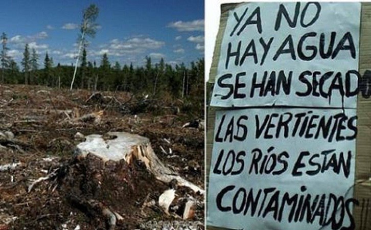 El negocio forestal en el centro: Paro de camioneros y devolución del territorio ancestral