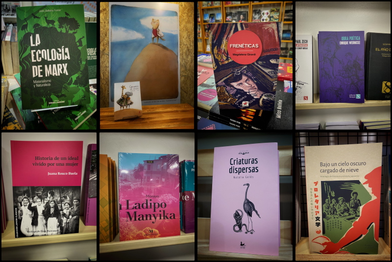 Feria del libro: ¿cómo elegir lecturas y no perderse en la multitud?