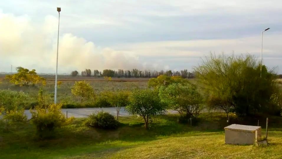 Lomas de Zamora: incendios en la Reserva Natural Provincial Santa Catalina