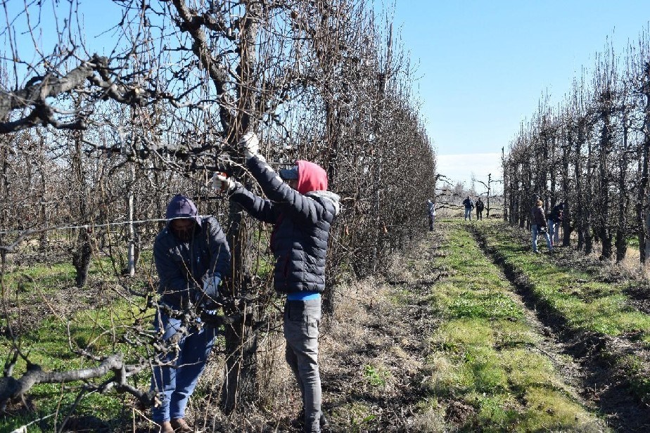 Salarios de pobreza para las y los trabajadores rurales en Río Negro 