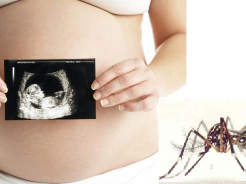 Zika: la curva del miedo para las mujeres 