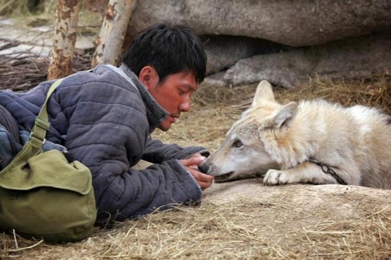 El último lobo, de Jean Jacques Annaud