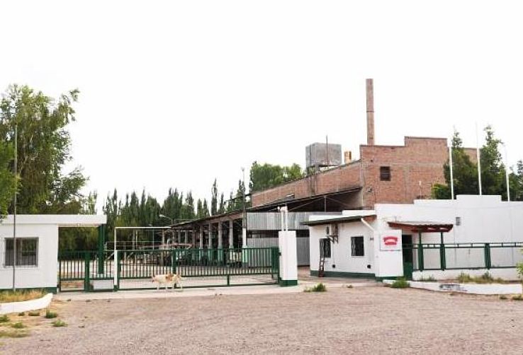 Río Negro: despidos y cierre de la última tomatera en la capital nacional del tomate