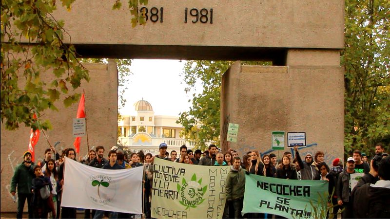 En Necochea también se marchó por la legalización