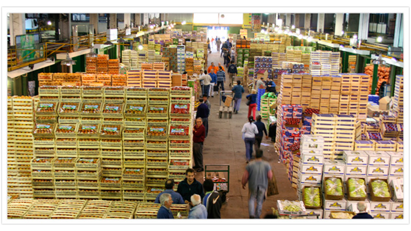 Precarización y trabajo infantil en el Mercado central