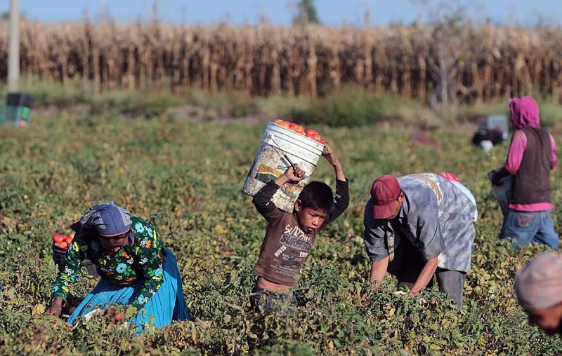 Las penas son de nosotros: Venegas y el plan de Cambiemos para desguazar el Renatea