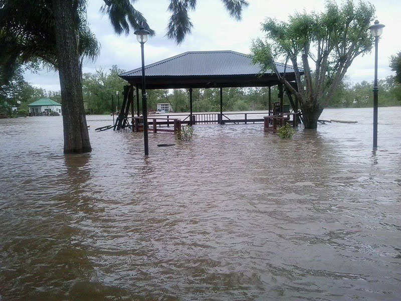 Tigre: “Ni la sudestada, ni la tormenta: Los countries son responsables”