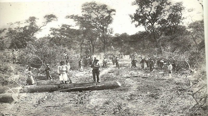 La Forestal: un hito del ascenso obrero durante el Gobierno radical