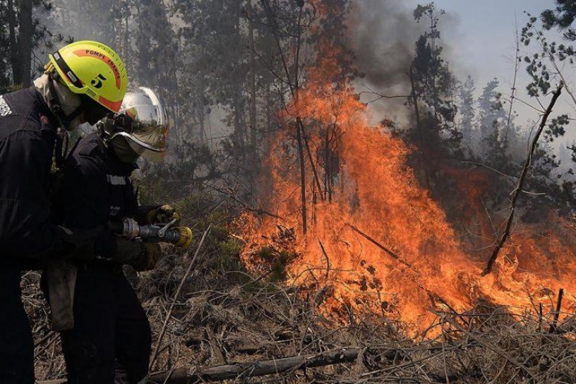 Una respuesta ante el incendio neoliberal de las forestales 