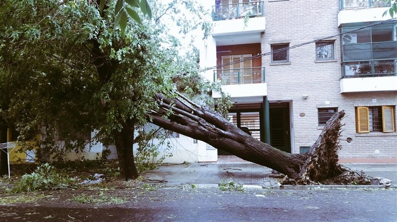 La Plata: lo que el viento nos dejó