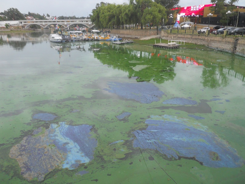 Carlos Paz: “No es un cuadro surrealista, es bosta pura flotando en el lago”